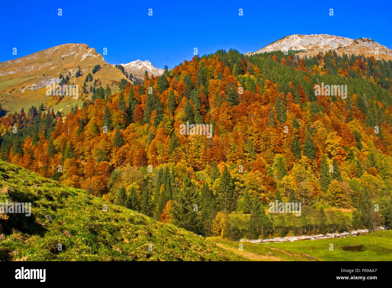 Foreste di montagna a valle Hinterstein in autunno, in Germania, in Baviera, Allgaeu Foto Stock