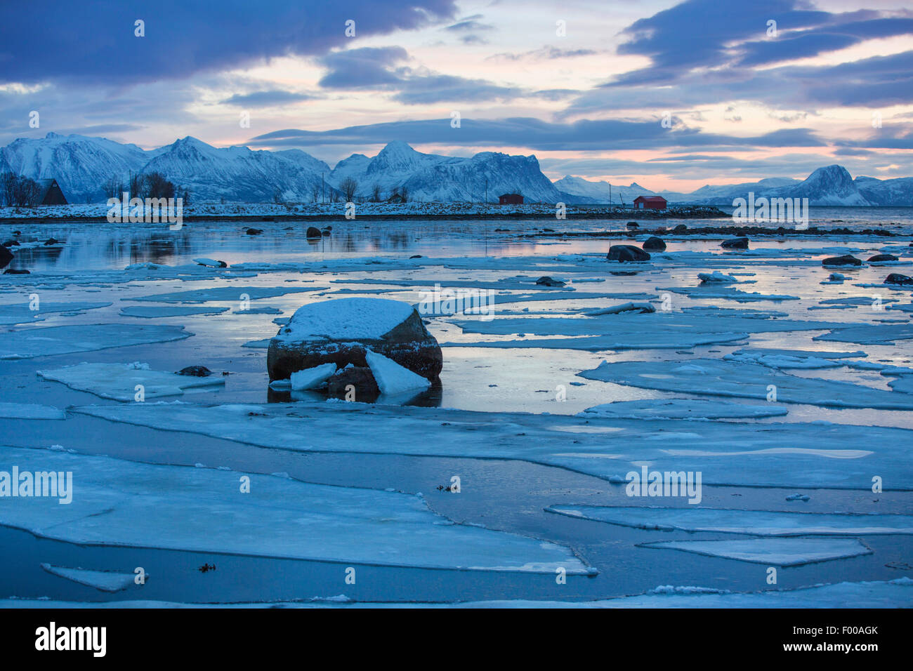 Fiordo ghiacciato durante la notte polare, Norvegia, VesterÕlen, Insel e°ya Foto Stock