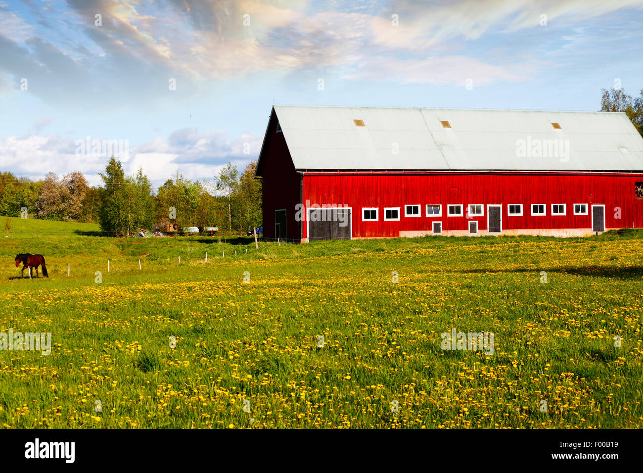 Vecchio rosso farm house con un cavallo al pascolo Foto Stock