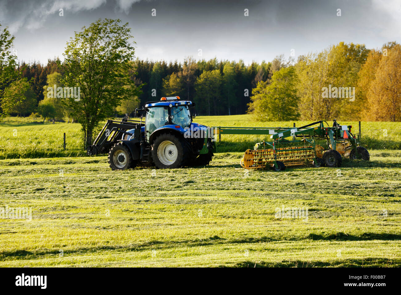 Trattore con doppia grande con la falciatrice in azione Foto Stock