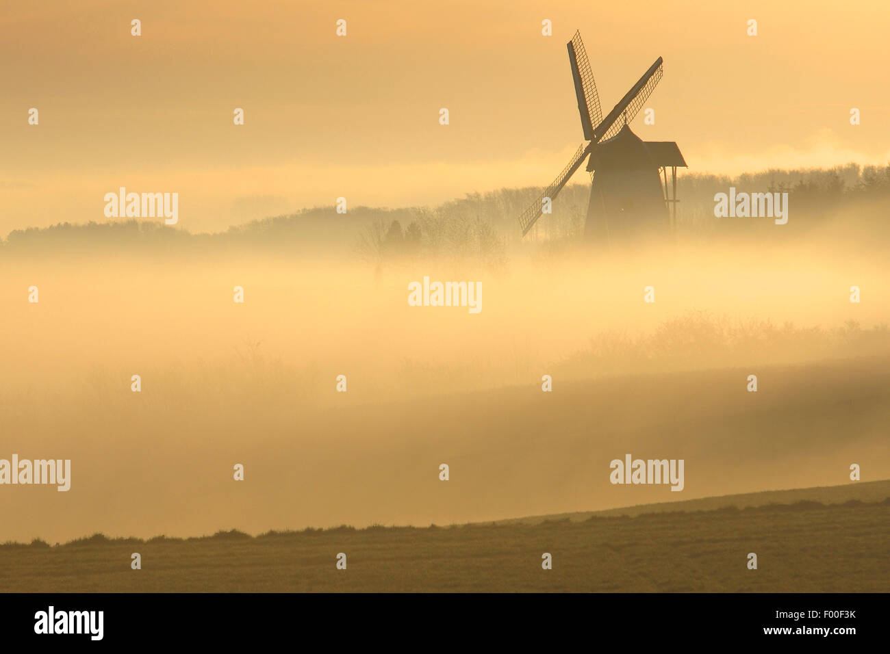 Mulino a vento nella nebbia di sunrise, Belgio, Ardenne Foto Stock