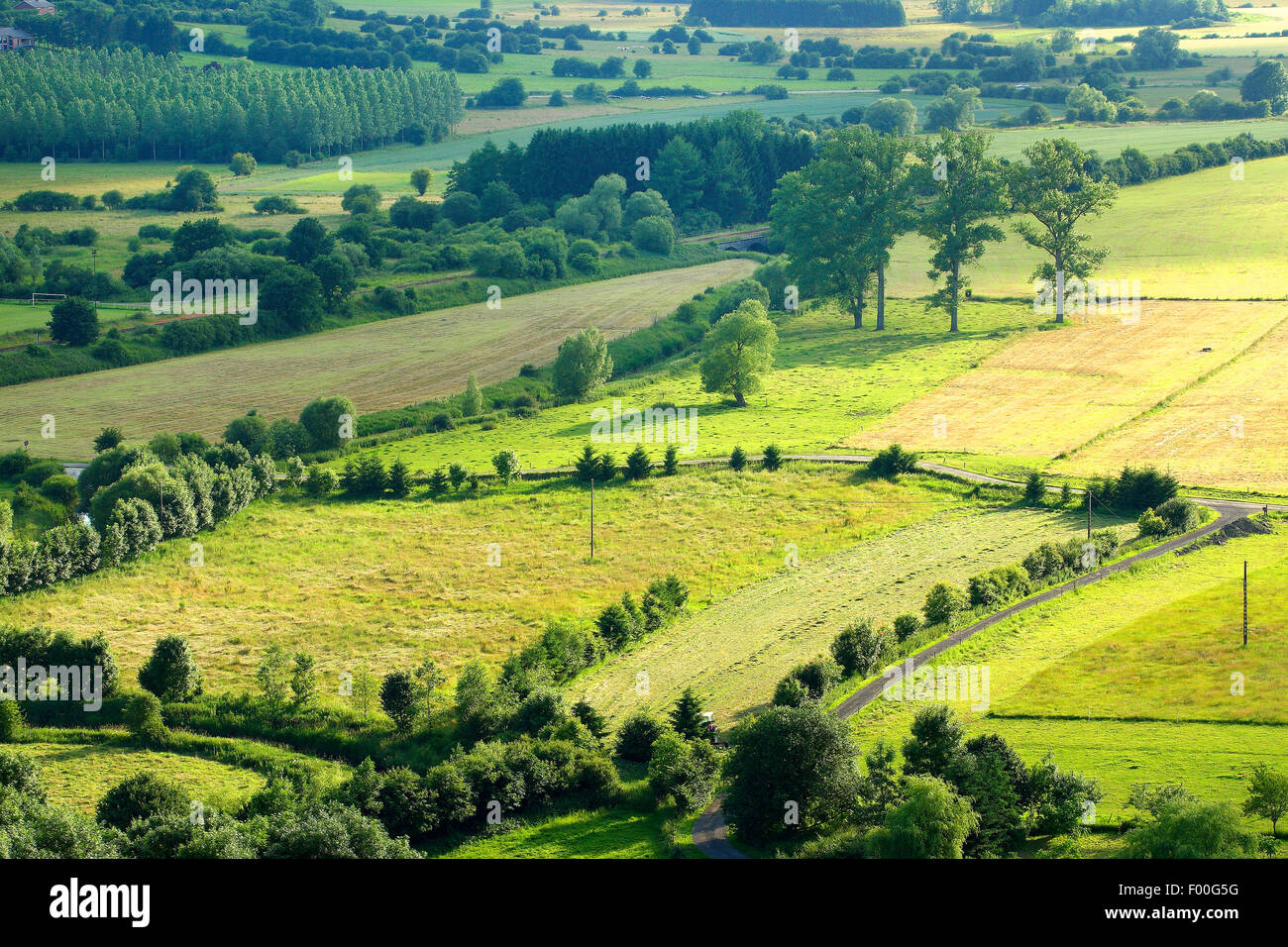 Vista aerea di paesaggio di Bocage con siepi e alberi, Belgio, Viroin Foto Stock