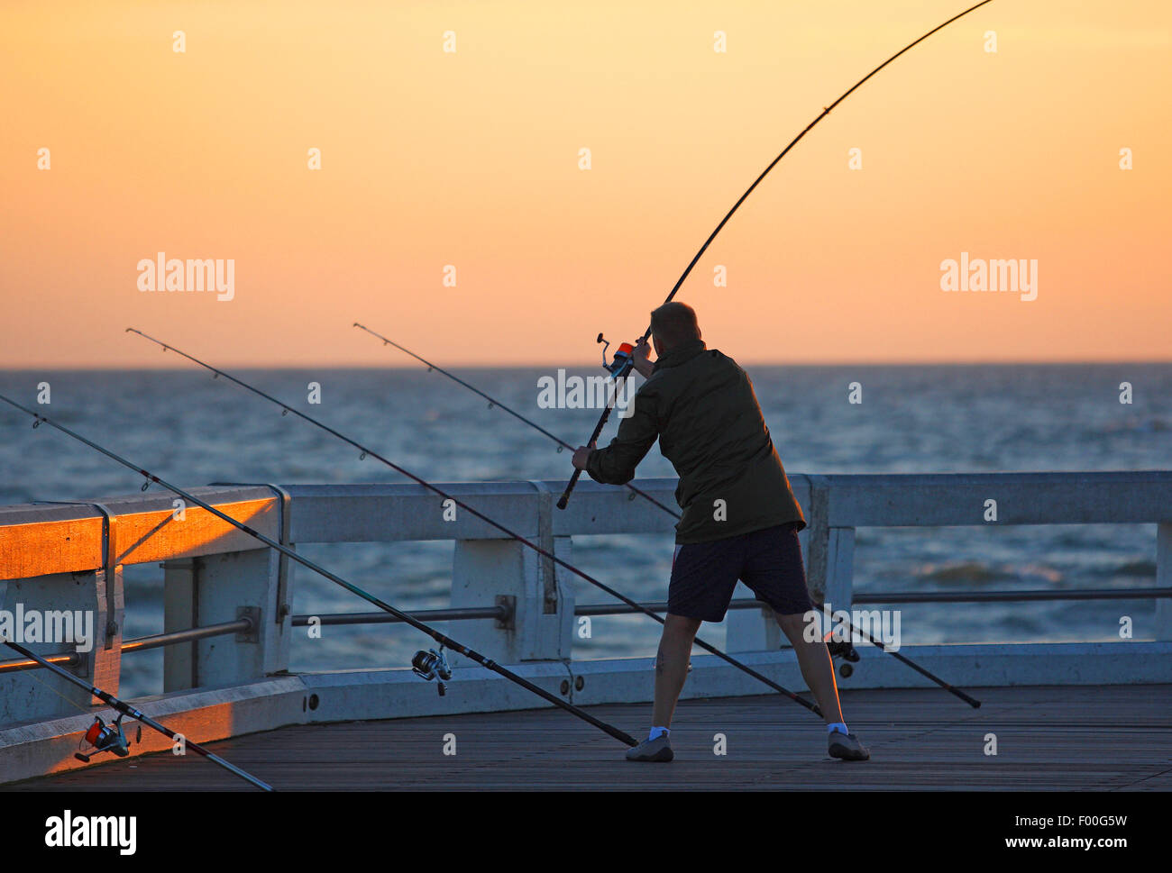 Pescatore in azione, Belgio, Nieuwpoort Foto Stock