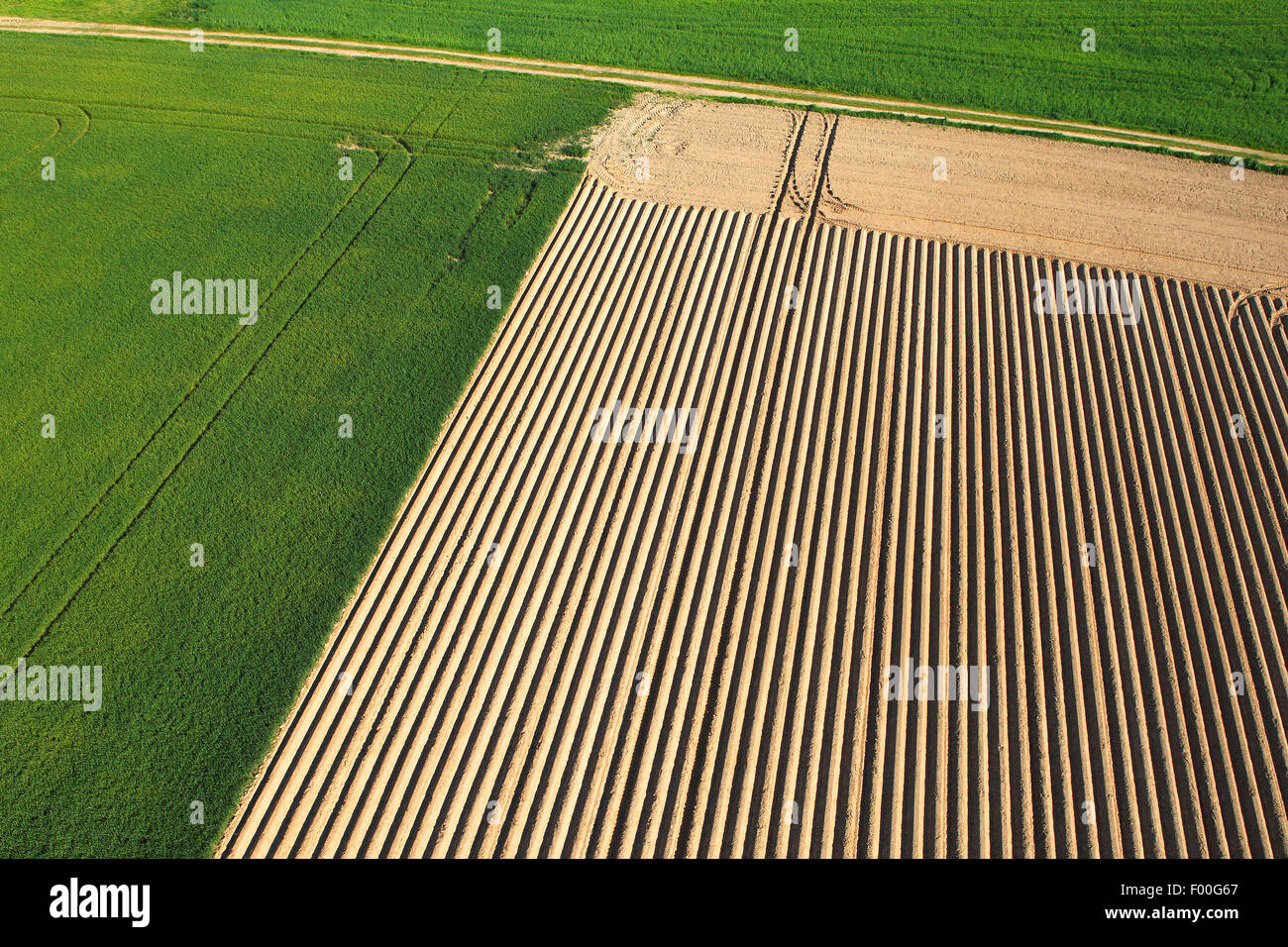 Zona agricola con i campi e prati dall'aria, Belgio Foto Stock