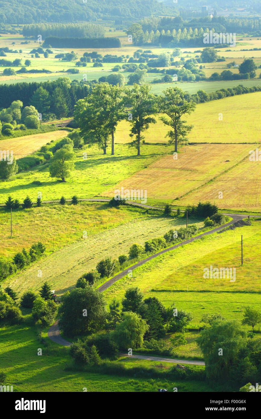 Vista aerea di paesaggio di Bocage con siepi e alberi, Belgio, Viroin Foto Stock