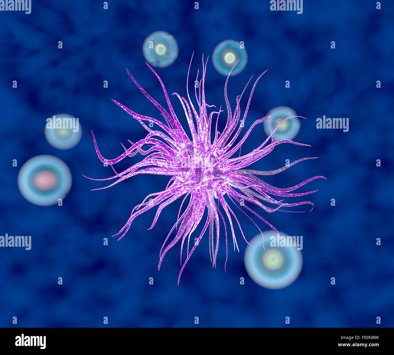 3d illustrazione del virus all'interno del corpo umano Foto Stock