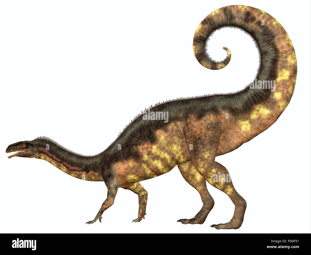 Plateosaurus era un prosauropod dinosauro erbivoro che visse nel Triassico Età dell'Europa. Foto Stock