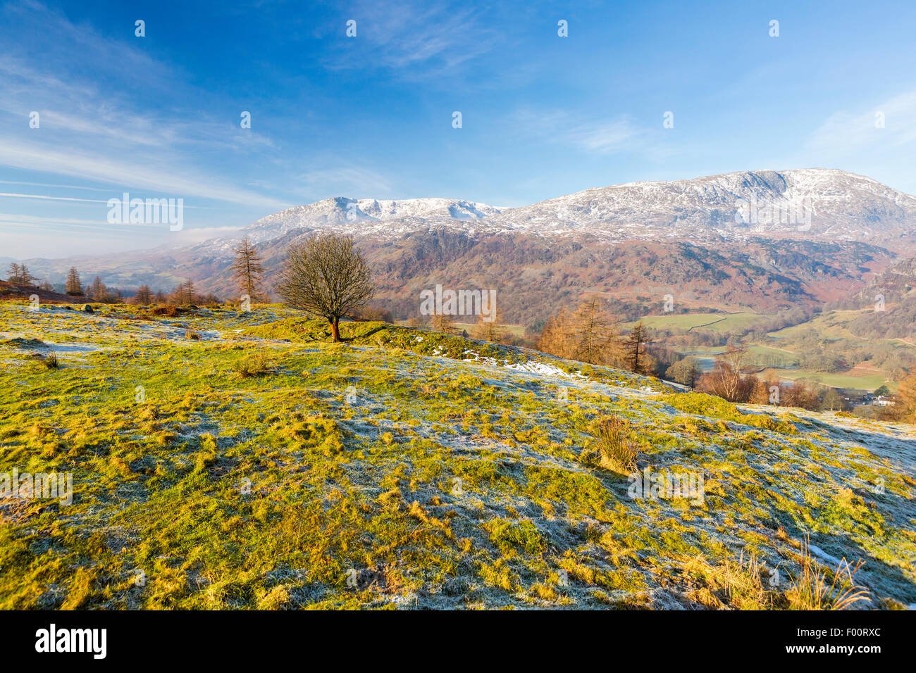 Una vista dal Tarn Hows aspirazione verso il vecchio di Coniston, Parco Nazionale del Distretto dei Laghi, Cumbria, Inghilterra, Regno Unito Eur Foto Stock