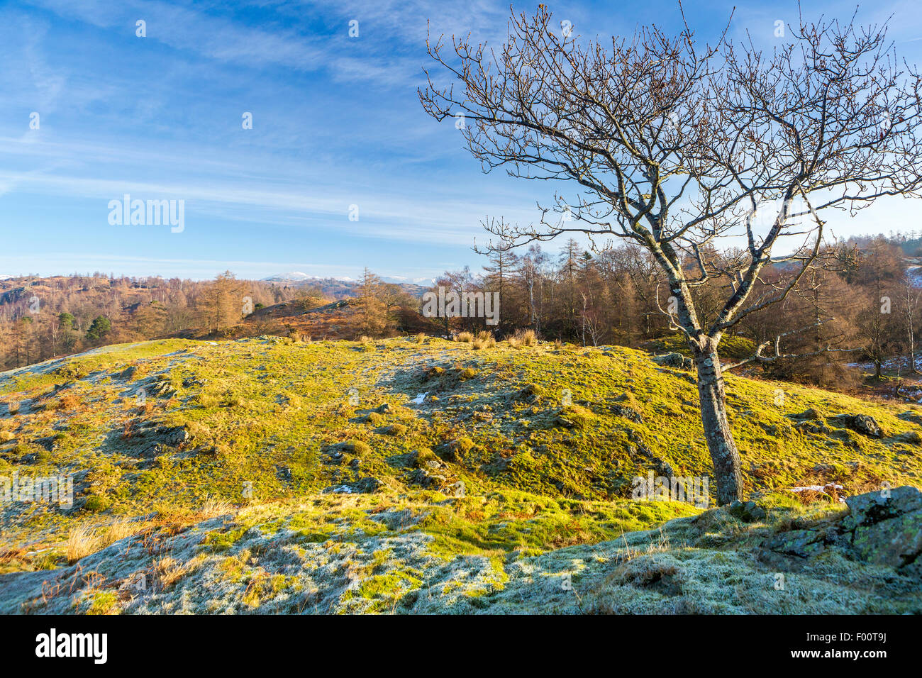 Una vista dal Tarn Hows aspirazione verso il vecchio di Coniston, Parco Nazionale del Distretto dei Laghi, Cumbria, Inghilterra, Regno Unito Eur Foto Stock