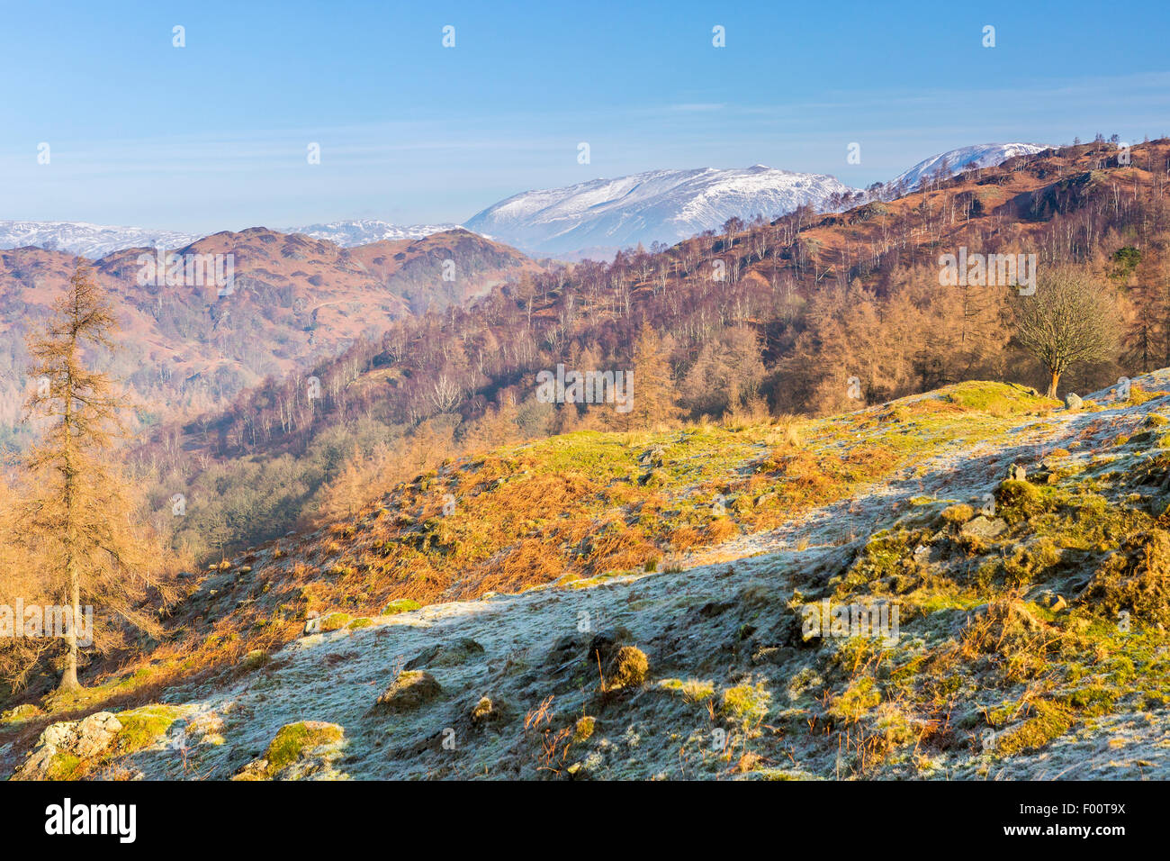 Una vista dal Tarn Hows aspirazione verso il vecchio di Coniston, Parco Nazionale del Distretto dei Laghi, Cumbria, Inghilterra, Regno Unito Eur Foto Stock