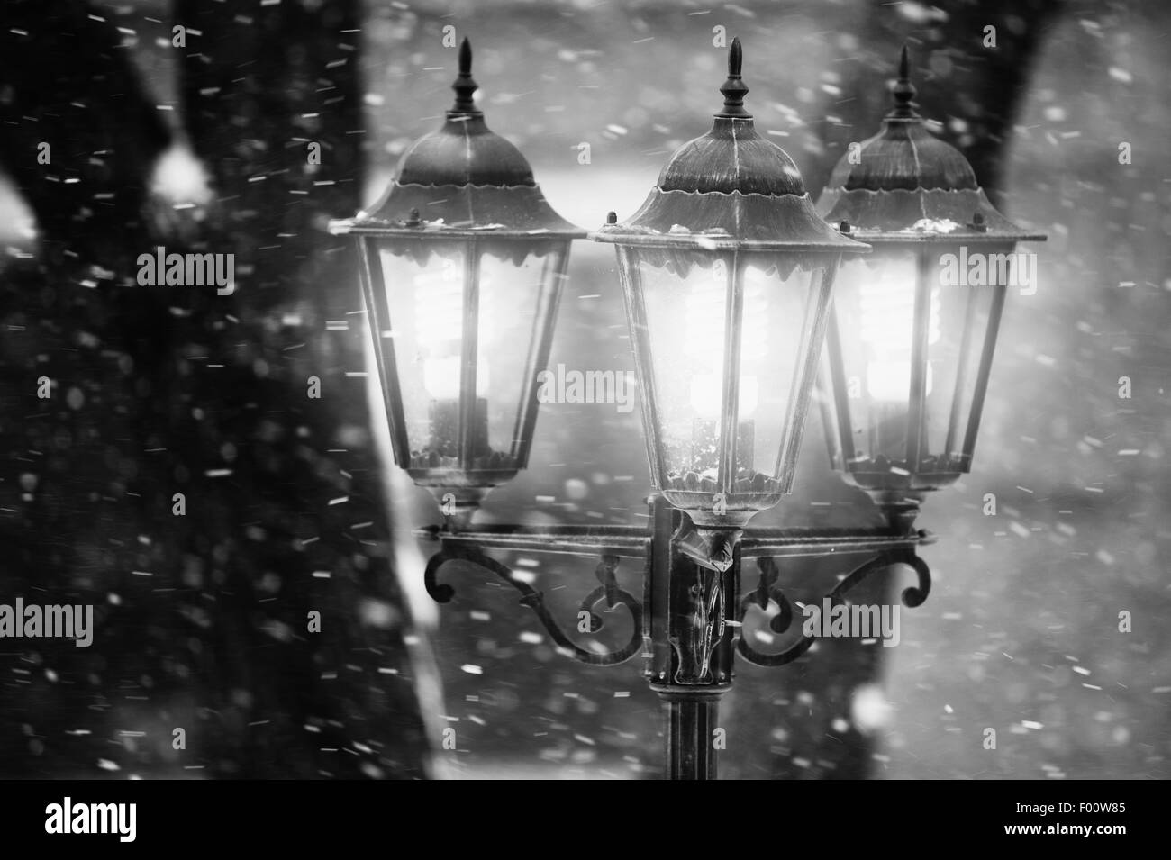 Lampione in inverno. Foto in bianco e nero Foto Stock