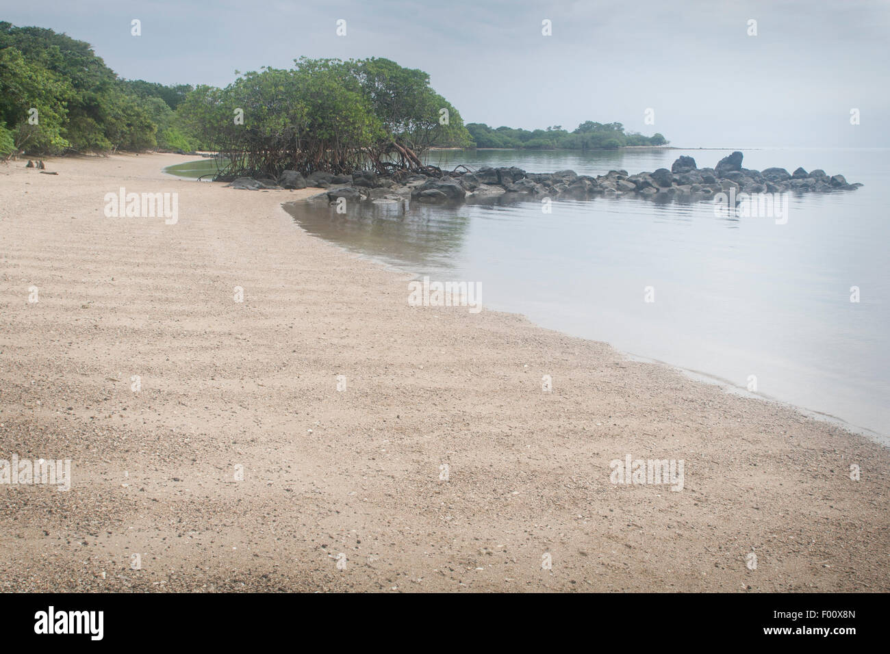 Alberi di mangrovie sulla spiaggia; Baluran National Park, Java, Indonesia. Foto Stock