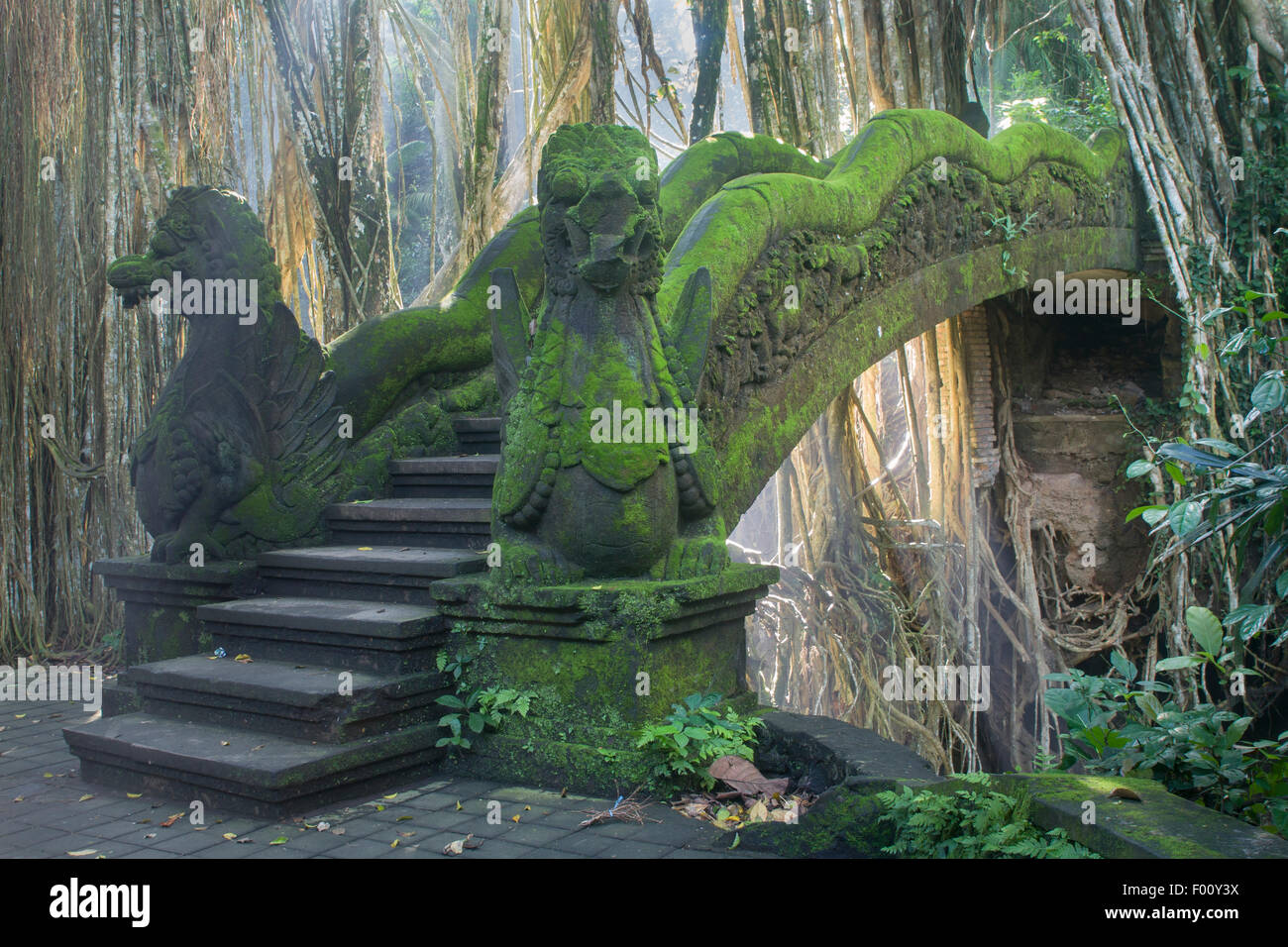 Radici aeree di un banyan tree cornice un vecchio ponte di sacro Santuario della Foresta delle Scimmie in Bali. Foto Stock