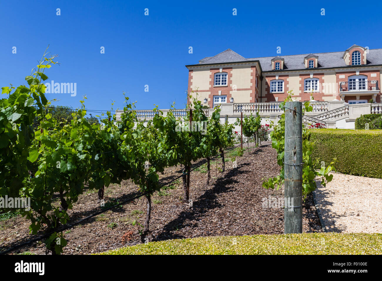Napa Valley, California - 12 Maggio :bel castello Domaine Carneros un luogo per degustare ottimi vini, 12 maggio 2015 Napa Valley, Cali Foto Stock