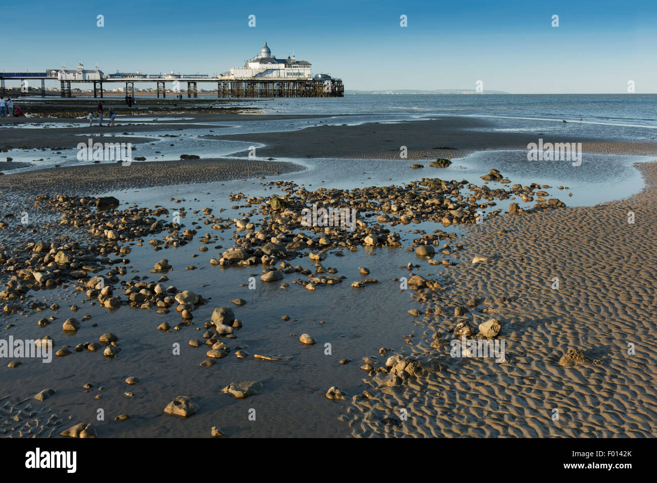 La spiaggia con la bassa marea, con il molo in background, a Eastbourne, East Sussex, Inghilterra, Regno Unito. Foto Stock
