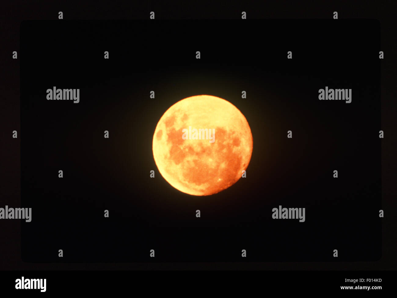 Orange luna piena nel cielo nero Foto Stock