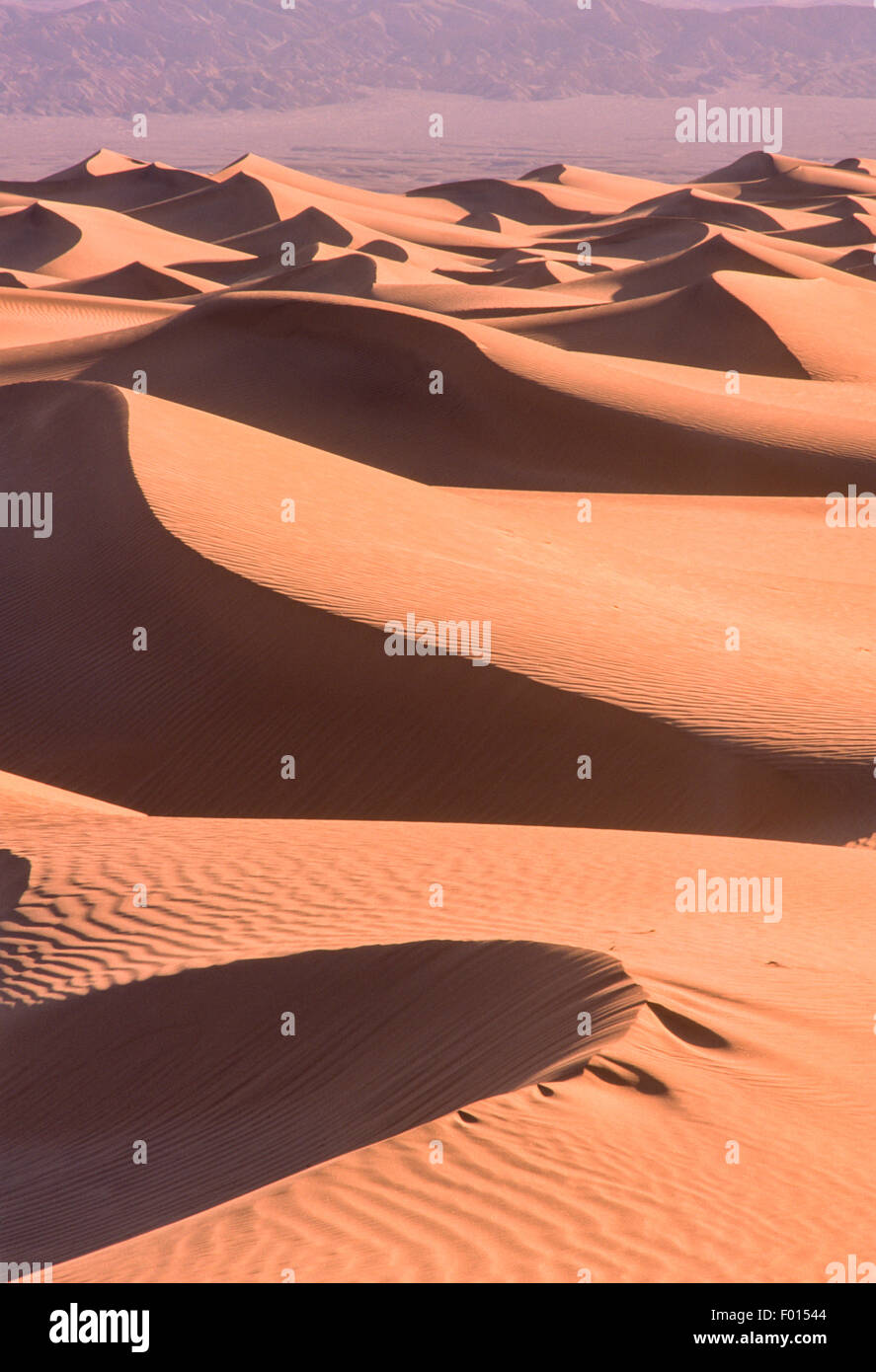 Mesquite Flat dune di sabbia, il Parco Nazionale della Valle della Morte, California Foto Stock