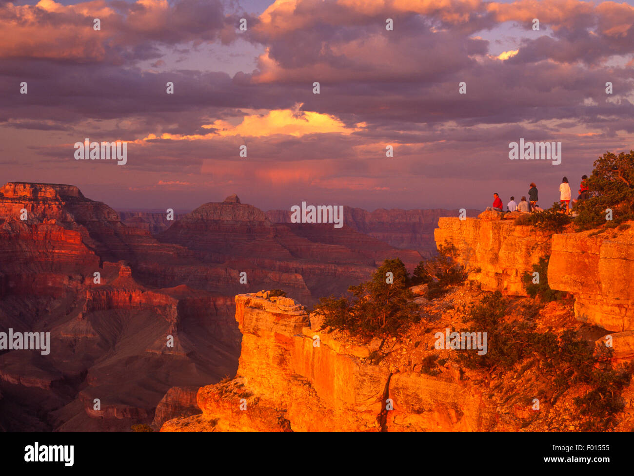 I turisti osservando la vista dal punto Yaki, il Parco Nazionale del Grand Canyon, Arizona Foto Stock