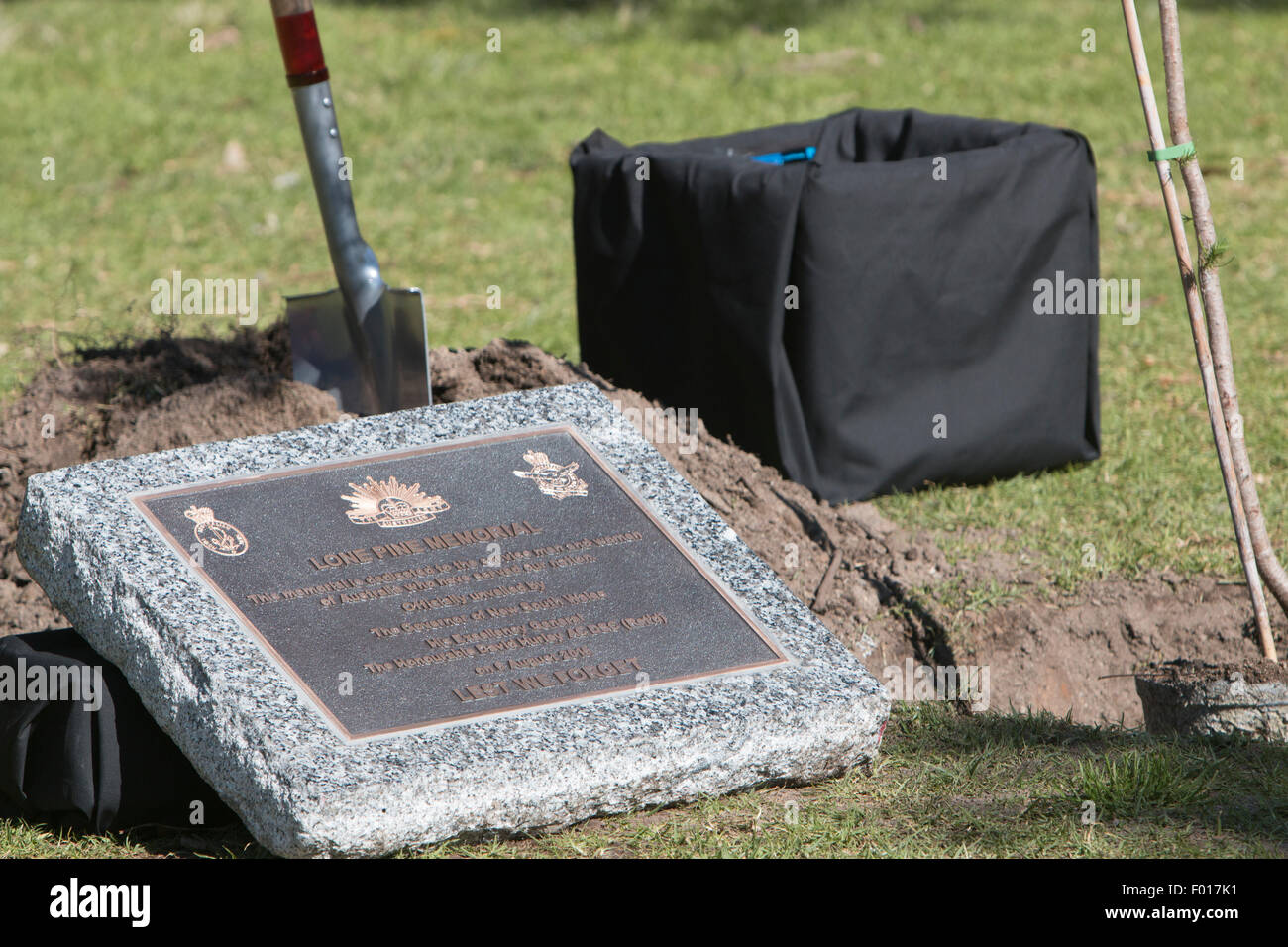 Centenario della battaglia di Lone Pine tra Australia e forze Ottomano durante la Prima Guerra Mondiale è commemorato a Avalon scuola pubblica, Sydney, Australia. Il Governatore del New South Wales, il generale David Hurley piantato il Lone Pine e svelato un cerimoniale di placca. Foto Stock