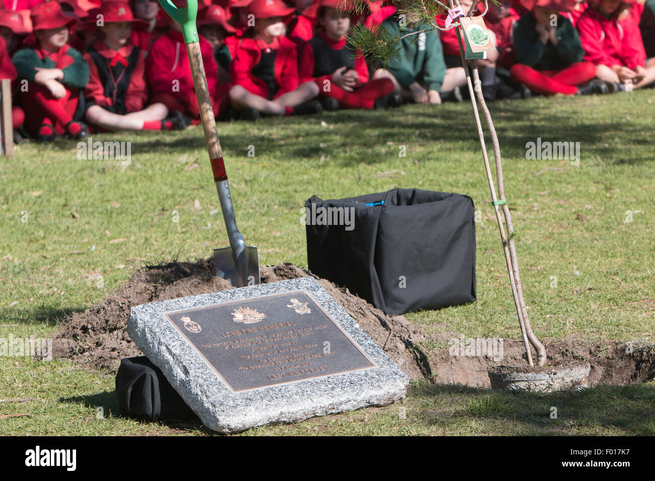 Centenario della battaglia di Lone Pine tra Australia e forze Ottomano durante la Prima Guerra Mondiale è commemorato a Avalon scuola pubblica, Sydney, Australia. Il Governatore del New South Wales, il generale David Hurley piantato il Lone Pine e svelato un cerimoniale di placca. Foto Stock