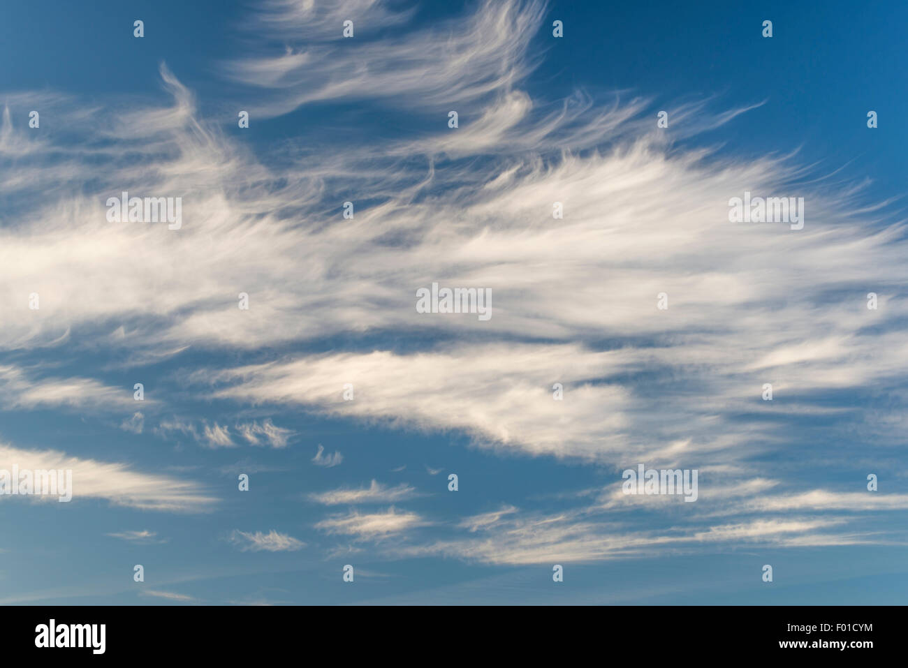 Wispy sottili filamenti di Cirrus Uncinus nuvole Foto Stock