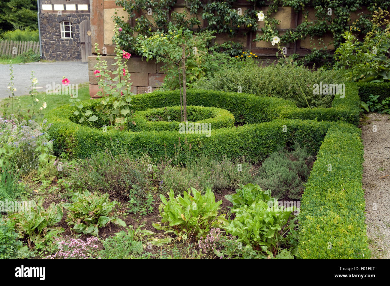 Buchsbaumgarten, Bauerngarten, Foto Stock