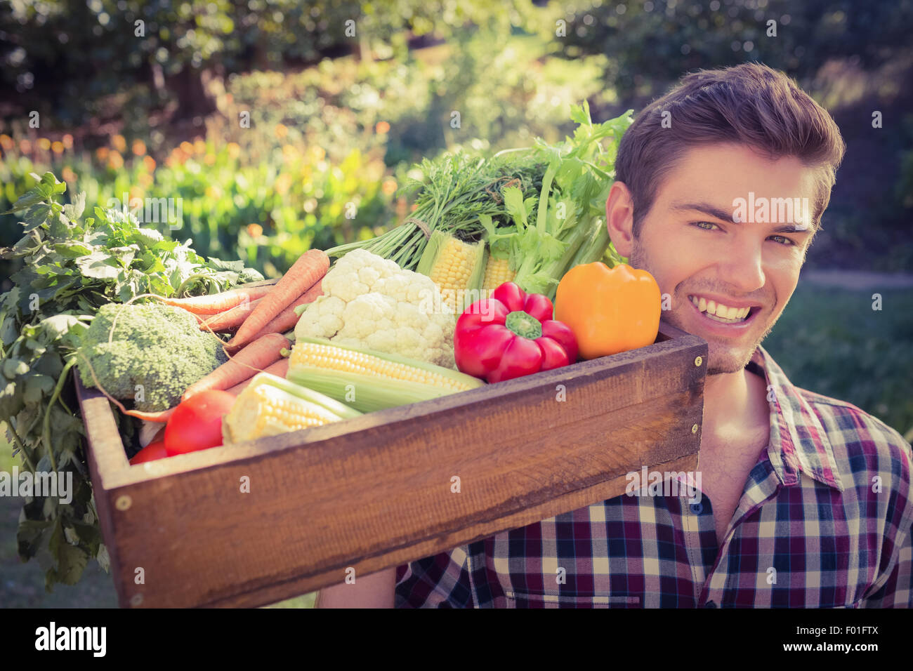 Bel contadino con cesto di veg Foto Stock