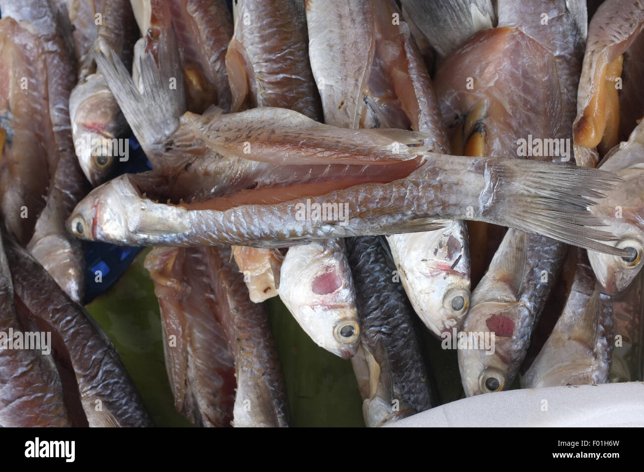 Asciugato il pesce salato Foto Stock