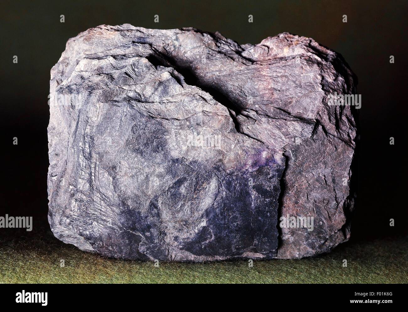 Argillite, roccia sedimentaria. Foto Stock