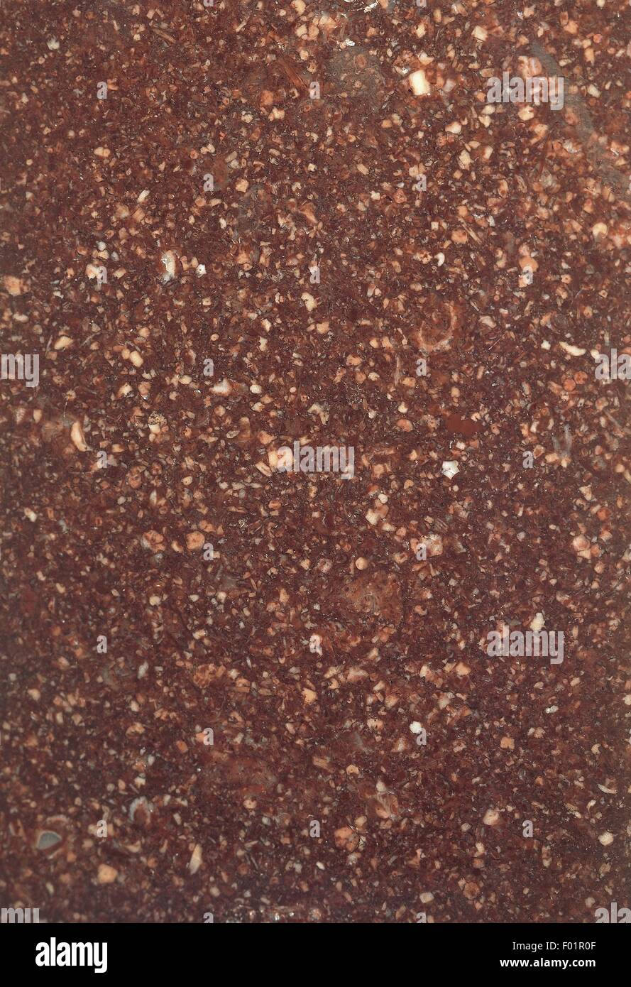 Minerali: il porfido quarzifero Foto Stock