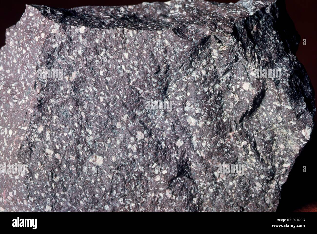 Dacite, roccia ignea roccia vulcanica. Foto Stock
