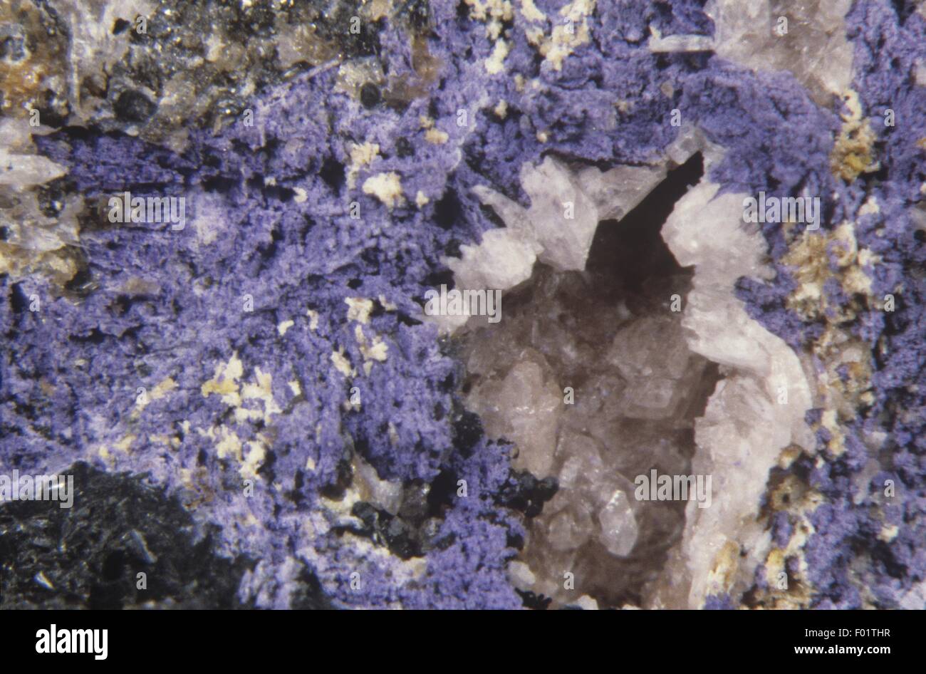 Strengite, close-up Foto Stock