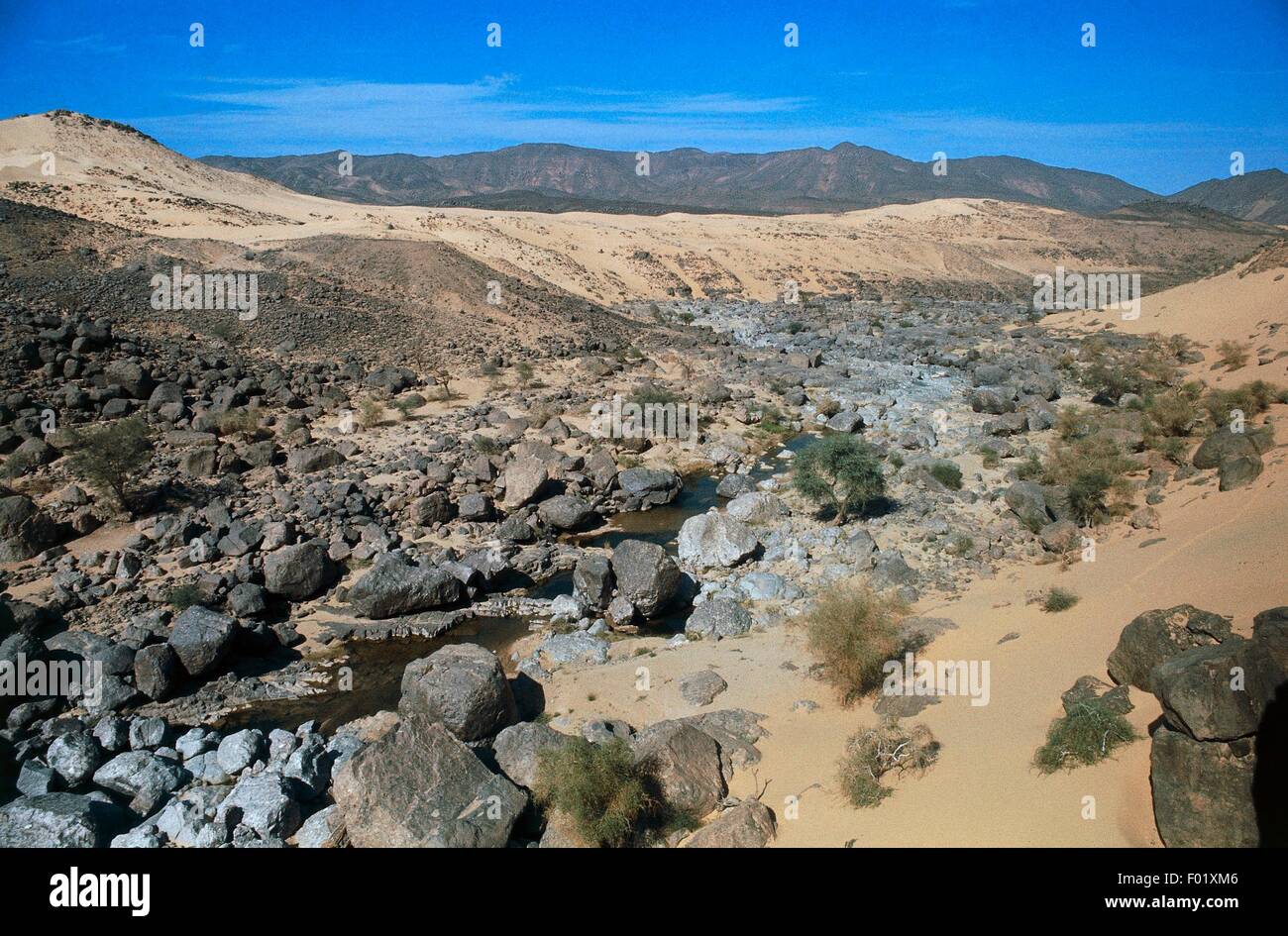Deserto roccioso, Niger. Foto Stock