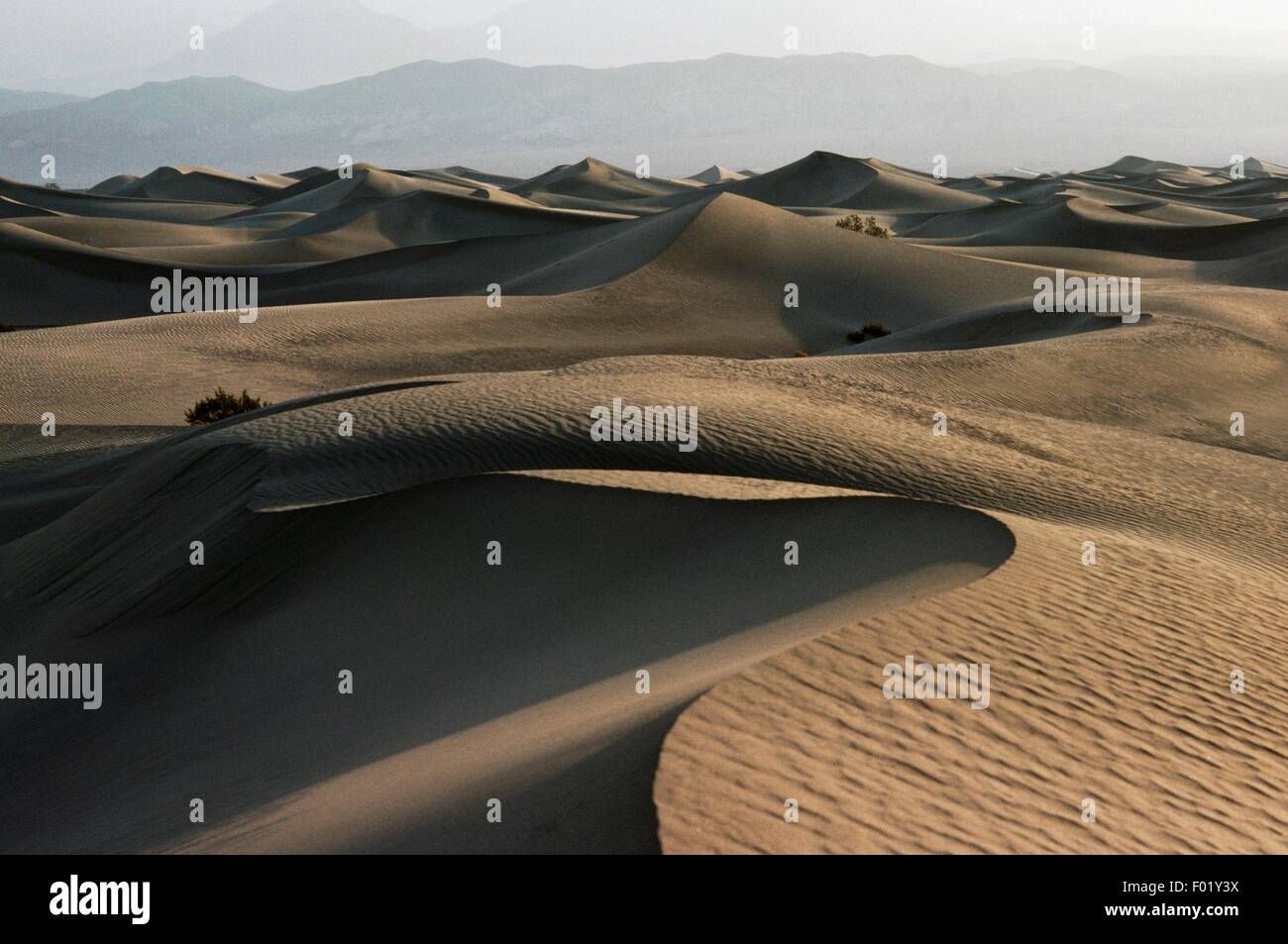 Deserto Sabbioso, Parco Nazionale della Valle della Morte, California, Stati Uniti d'America. Foto Stock