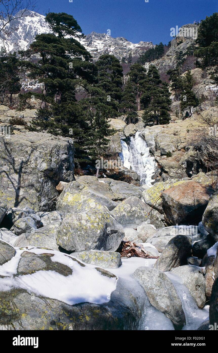 Cascate di inglese (Cascade des Anglais), Vizzavona, Parco Naturale  Regionale della Corsica (Parc Naturel Regional de Corse), Corsica, Francia  Foto stock - Alamy