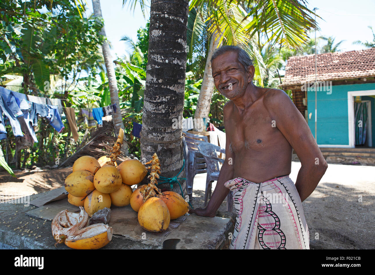 L'uomo, 60 anni, taglio aprire noci di cocco, Dondra, sud della provincia, Oceano Indiano, Ceylon, Sri Lanka Foto Stock