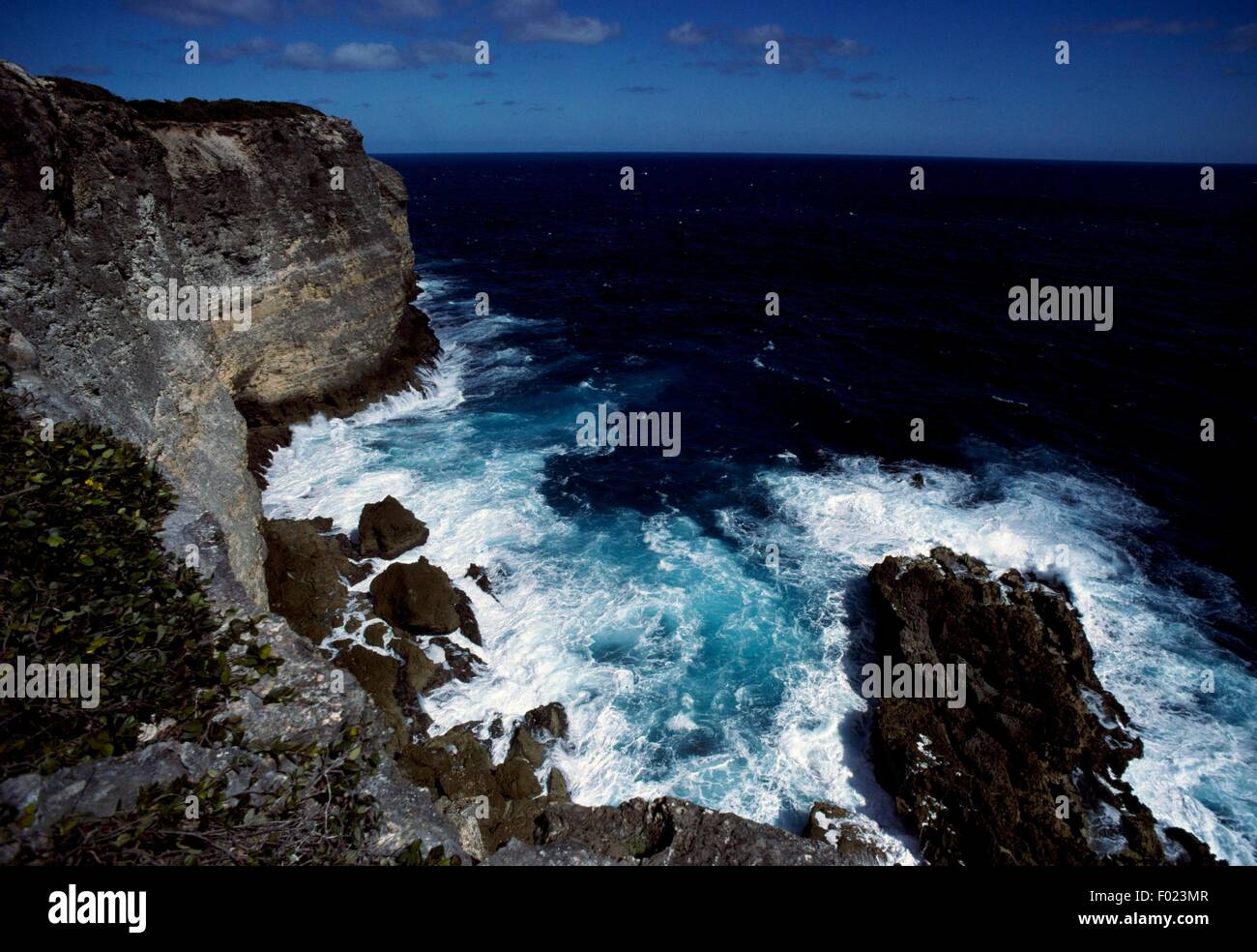 Alta e costa rocciosa, Guadalupa (dipartimento francese d' oltremare). Foto Stock