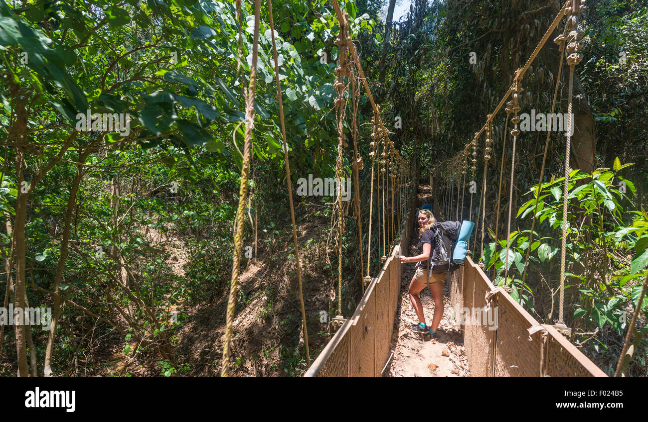 Escursionista, giovane donna a piedi lungo un ponte di sospensione nella giungla, Kuala Tahan, Taman Negara National Park, Malaysia Foto Stock