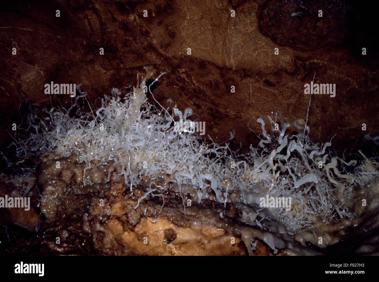 Formazioni cristallizzato, Bue Marino, Sardegna, Italia. Foto Stock