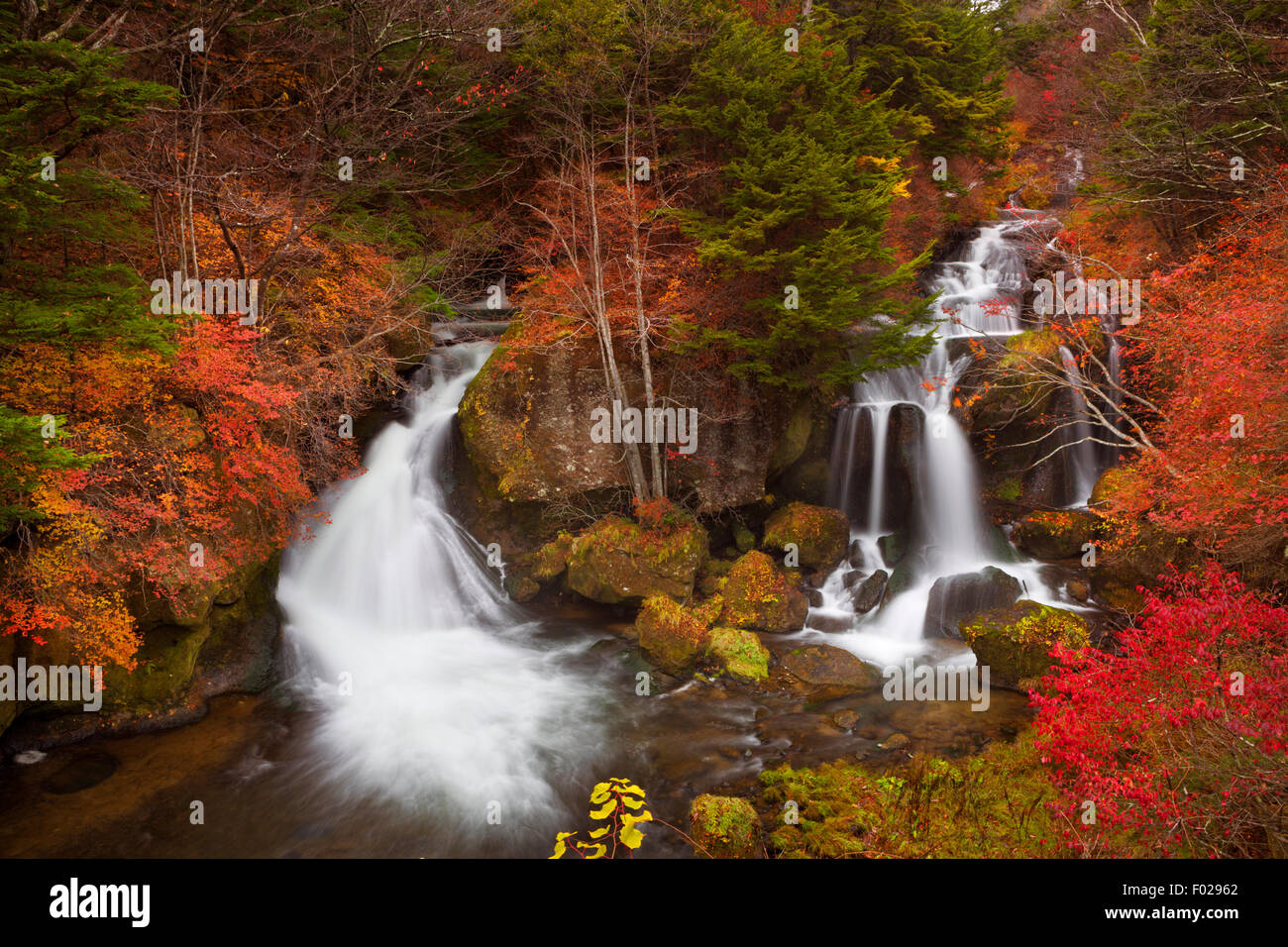Il Ryuzu Falls (Ryuzu-no-Taki, 龍頭の滝) vicino a Nikko, Giappone circondato da colori autunnali. Foto Stock