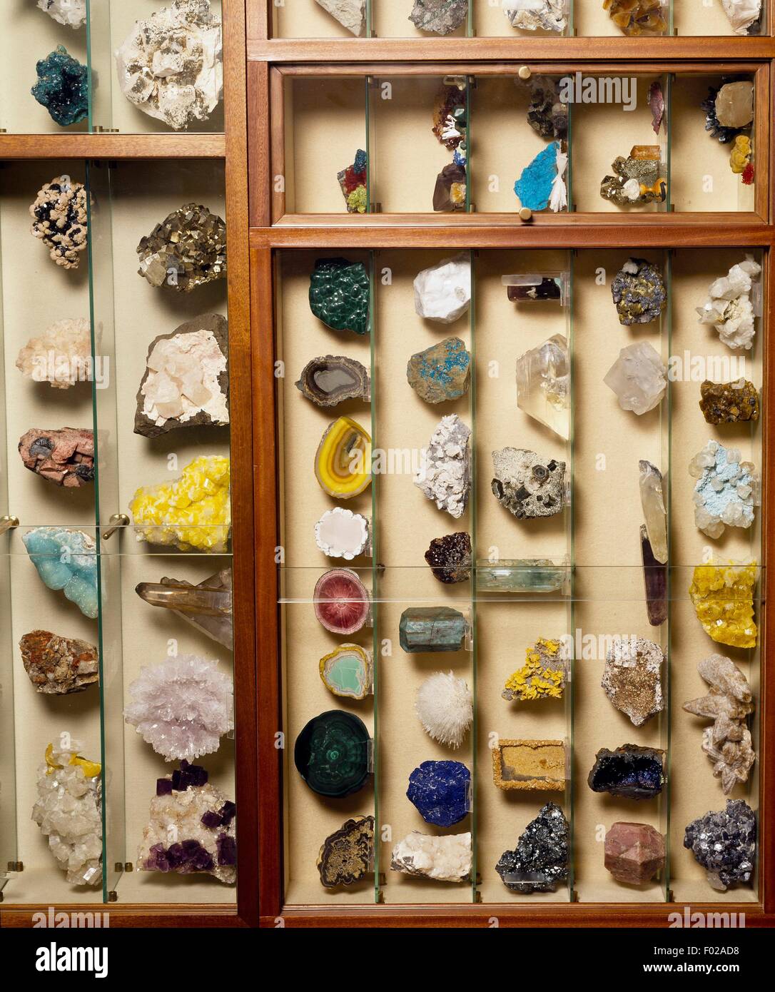 Collezione di minerali in un espositore Foto stock - Alamy