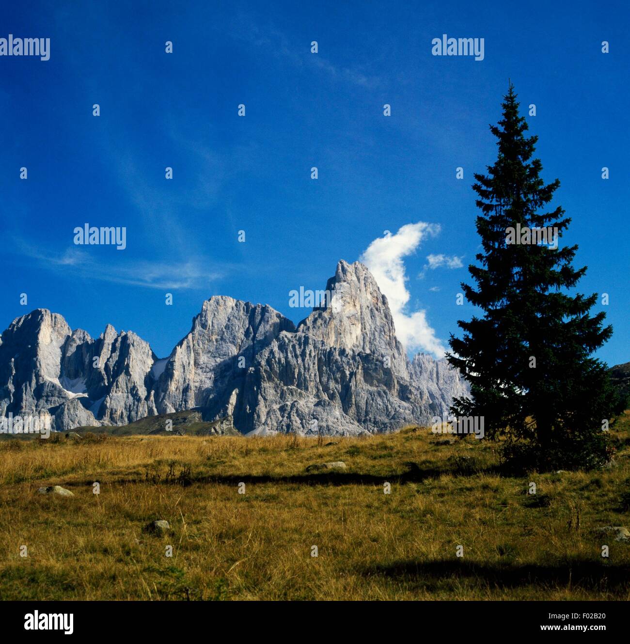 Vista dalle Pale di San Martino, Parco Naturale Paneveggio-Pale di San Martino, Dolomiti (Patrimonio Mondiale UNESCO, 2009), il Trentino Alto Adige, Italia. Foto Stock