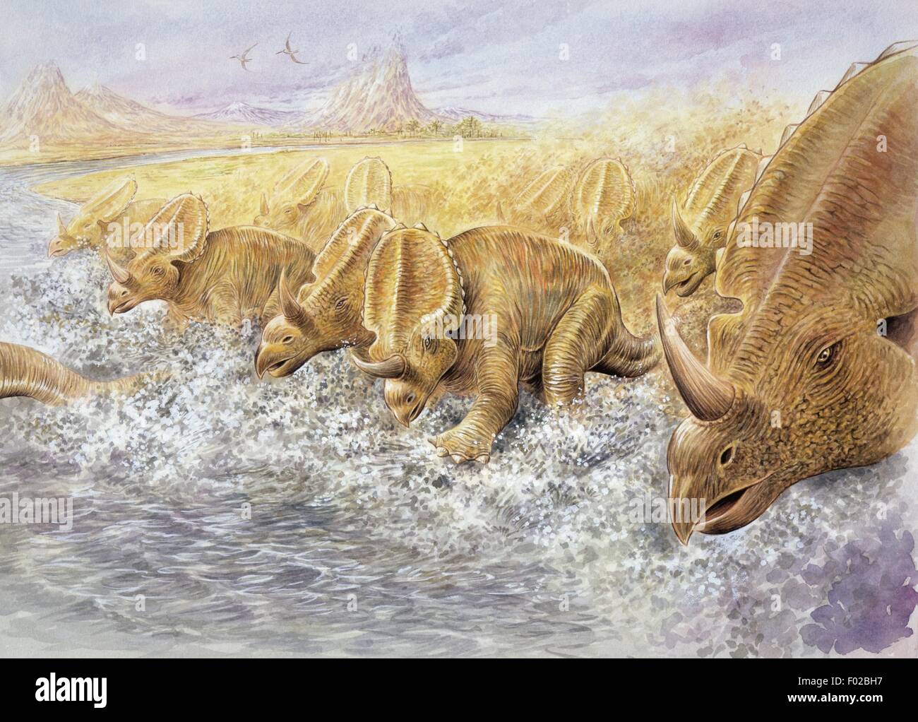 Zoopaleontologia - del periodo Cretaceo - i dinosauri - Centrosaurus - Arte il lavoro di Graham Berry Foto Stock