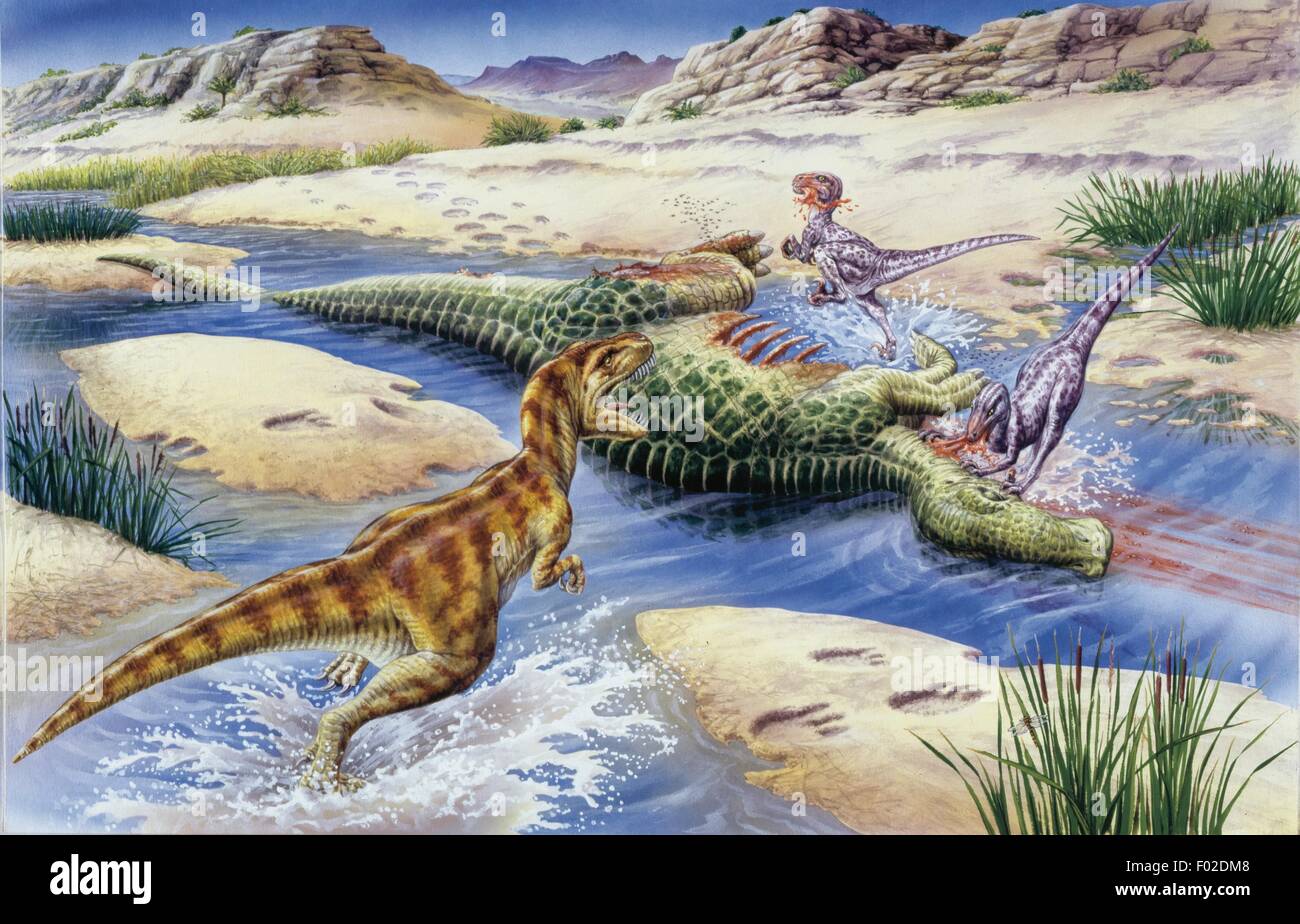 Zoopaleontologia - del periodo Cretaceo - i dinosauri - Nanotyrannus - opera d'arte Foto Stock