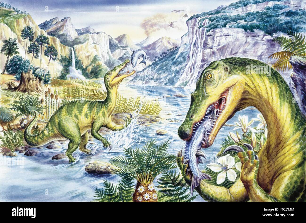 Zoopaleontologia - del periodo Cretaceo - i dinosauri - Baryonyx - opera d'arte Foto Stock
