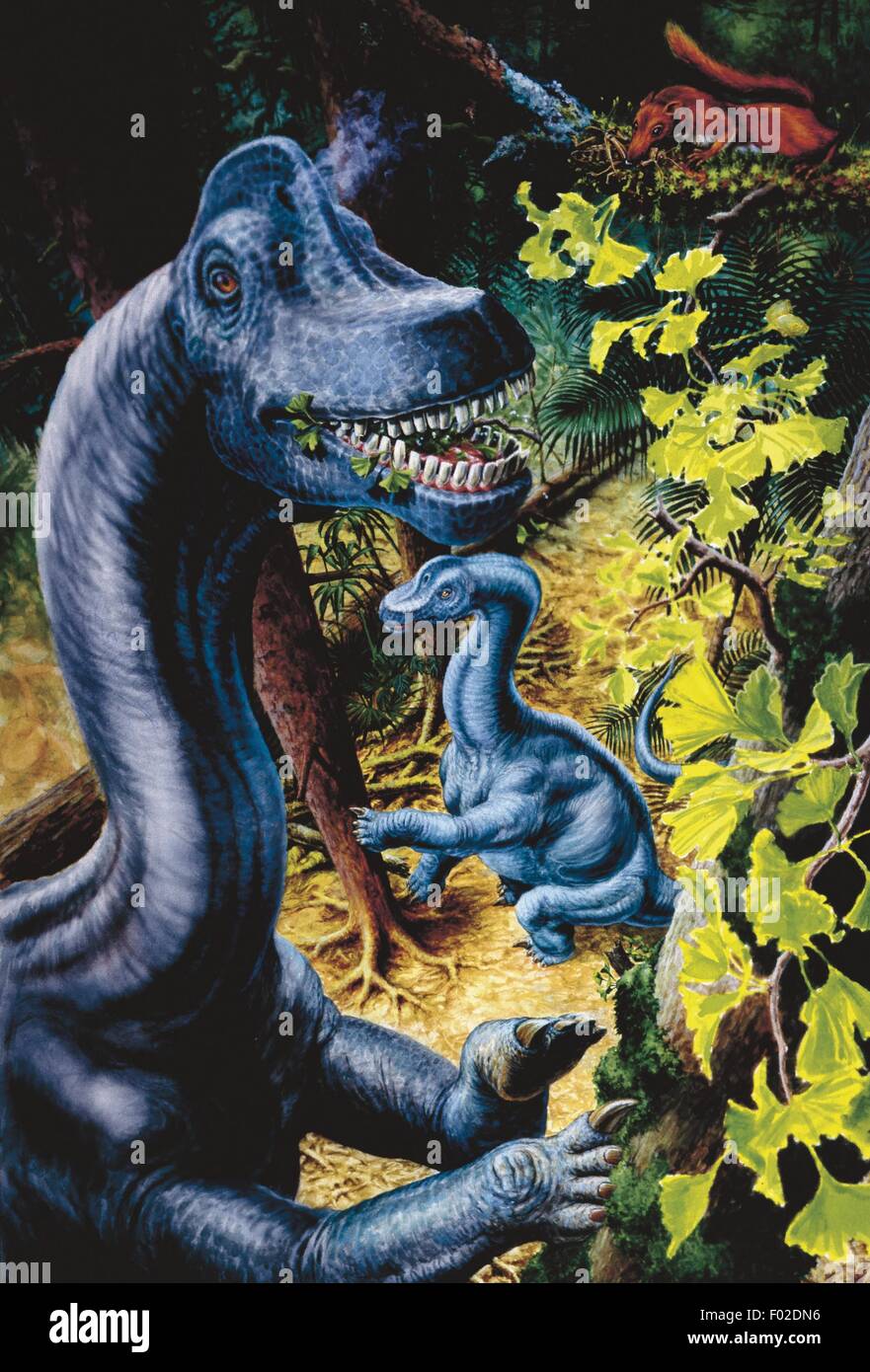 Zoopaleontologia - Giurassico - i dinosauri - Brachiosaurus - opera d'arte da Robin Bouttell Foto Stock