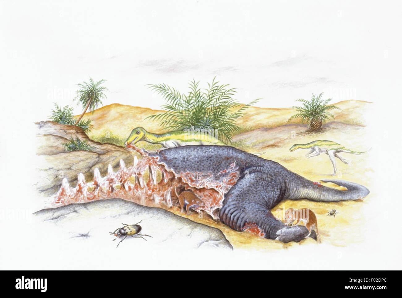 Zoopaleontologia - Giurassico - i dinosauri - Tricododon - opera d'arte Foto Stock