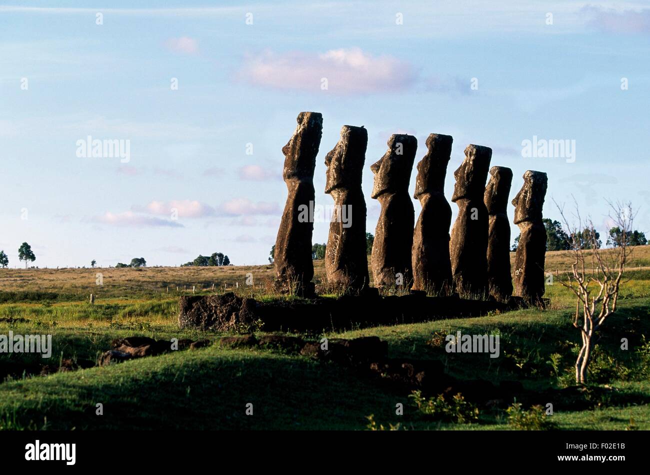 Sette Moai (monolitico sculture antropomorfe), Ahu Akivi sito archeologico, Parco Nazionale di Rapa Nui (Patrimonio Mondiale UNESCO, 1995), l'isola di pasqua, Cile. Foto Stock