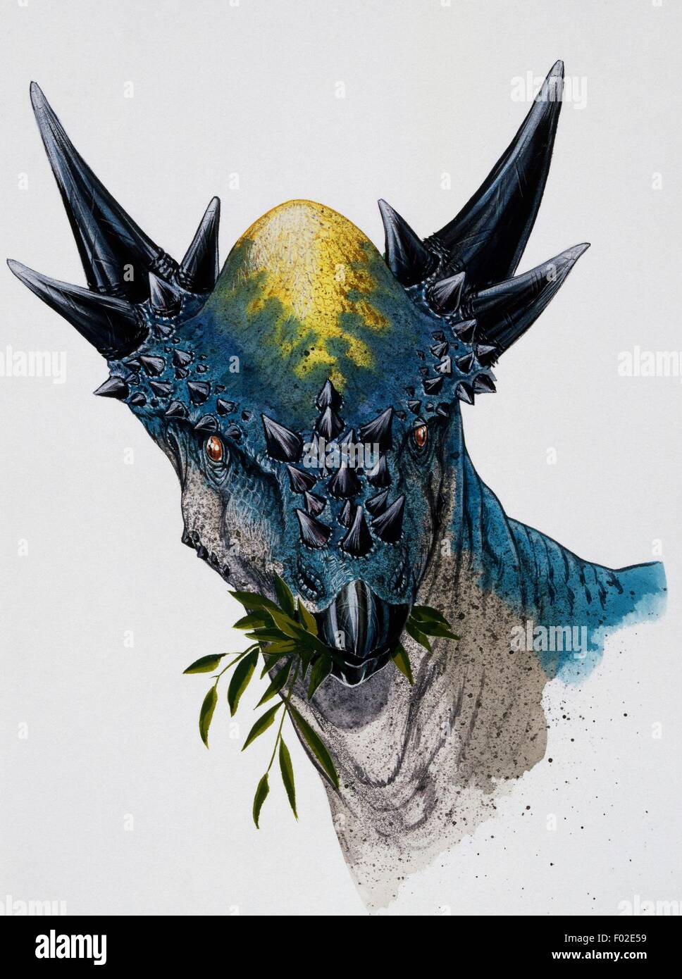 Stygimoloch spinifer, Pachycephalosauridae, tardo Cretaceo. Illustrazione. Foto Stock