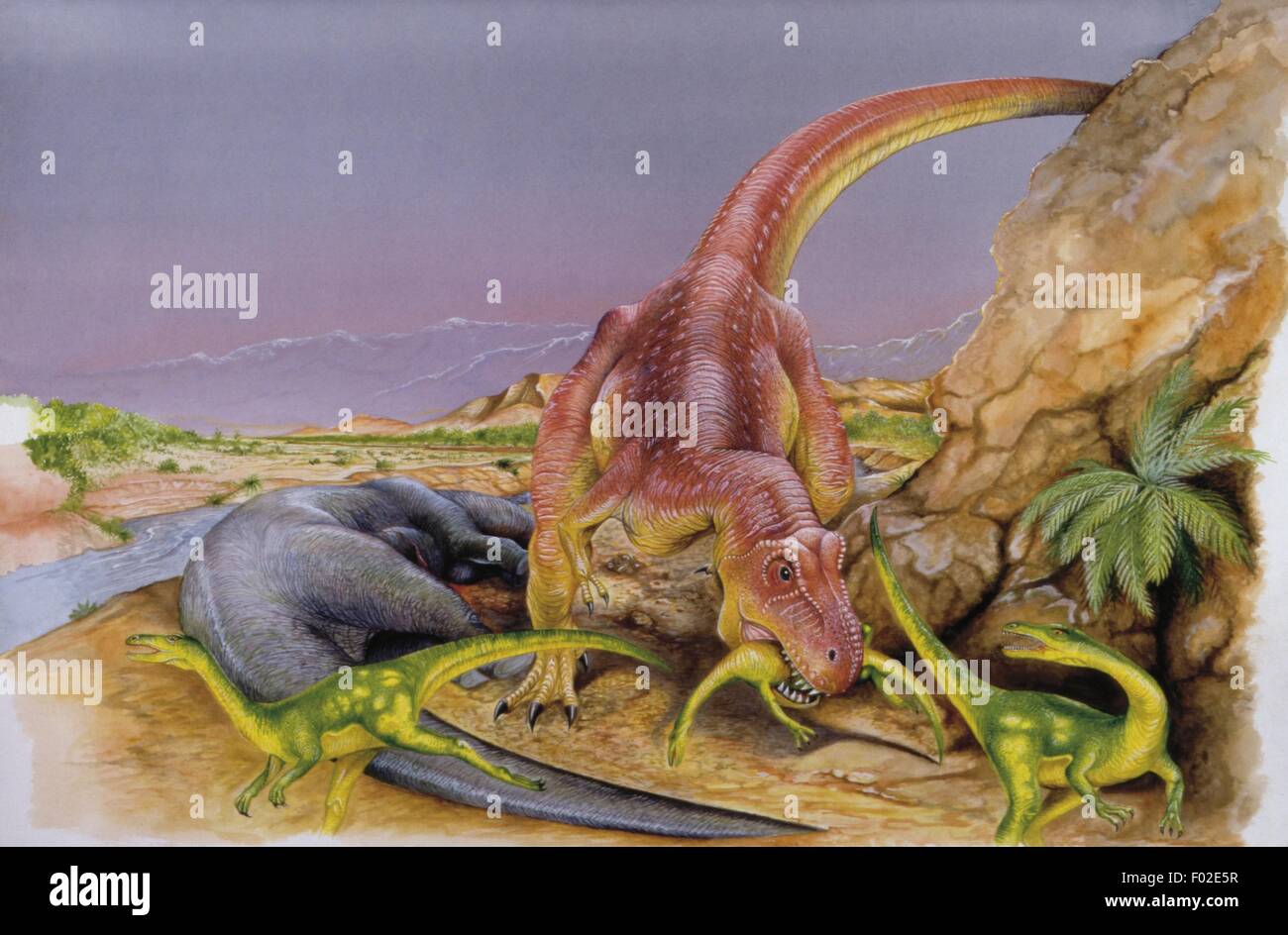 Zoopaleontologia - del periodo Cretaceo - i dinosauri - Indosuchus - opera d'arte Foto Stock